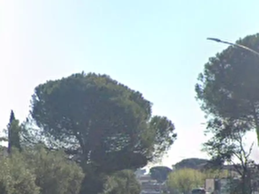 Immagine 3 di Magazzino in vendita  in Via Casilina a Roma