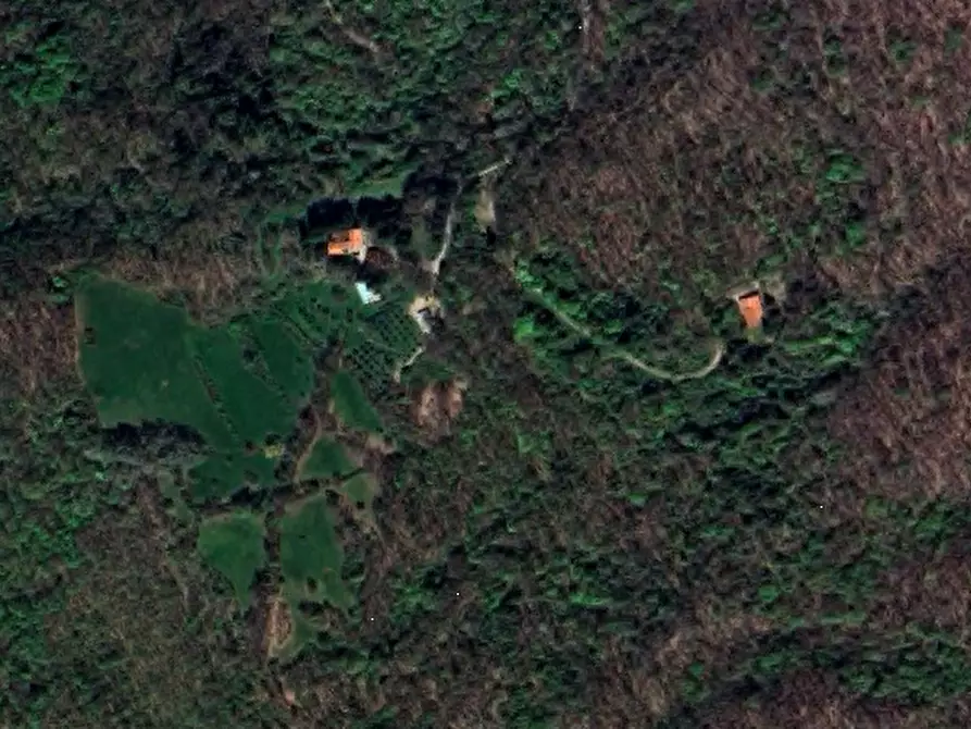 Immagine 8 di Appartamento in vendita  in Localita' Bucigna a Londa