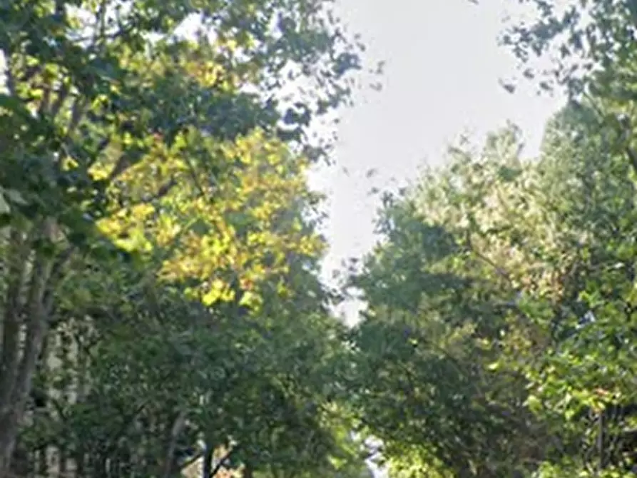 Immagine 5 di Appartamento in vendita  in Viale Malta a Firenze