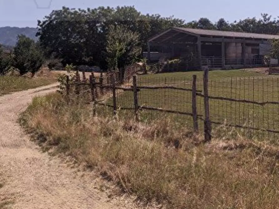 Immagine 2 di Magazzino in vendita  in Frazione Pilarciano a Vicchio
