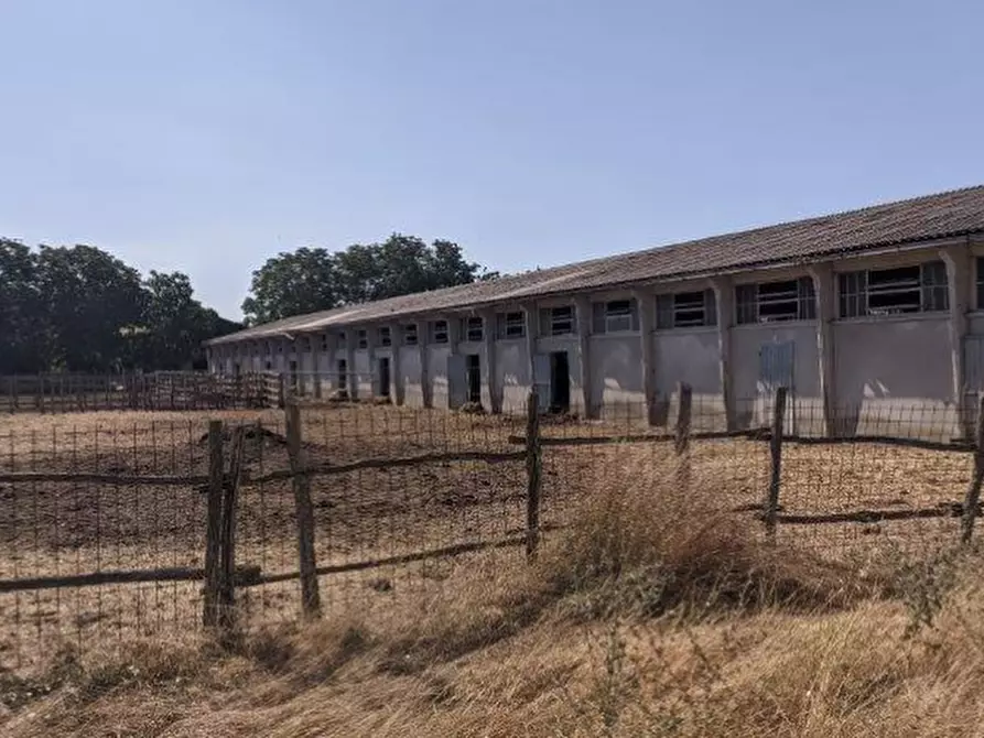 Immagine 3 di Magazzino in vendita  in Frazione Pilarciano a Vicchio