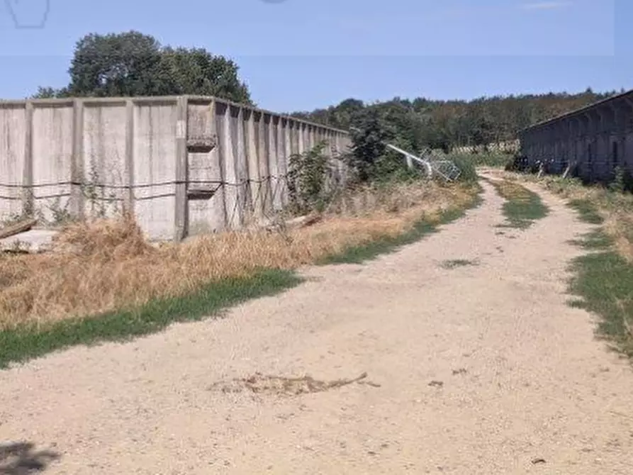 Immagine 4 di Magazzino in vendita  in Frazione Pilarciano a Vicchio