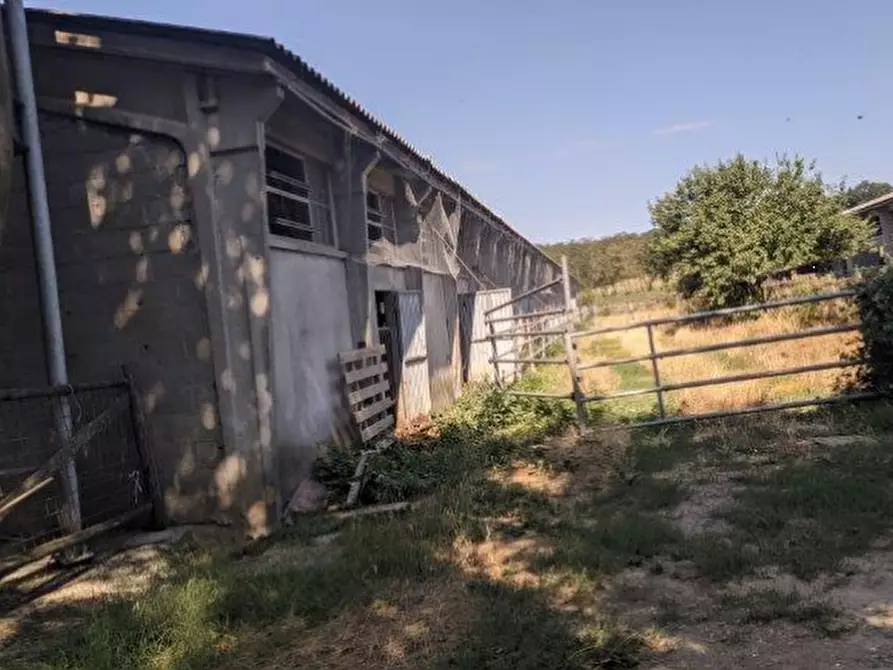 Immagine 5 di Magazzino in vendita  in Frazione Pilarciano a Vicchio