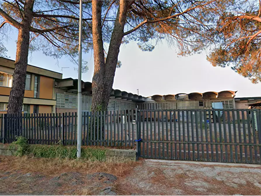 Immagine 6 di Ufficio in vendita  in Via del Puntone a Fucecchio