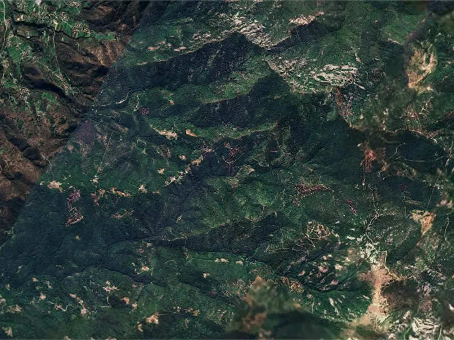 Immagine 18 di Porzione di casa in vendita  in Strada Ravera a Cumiana