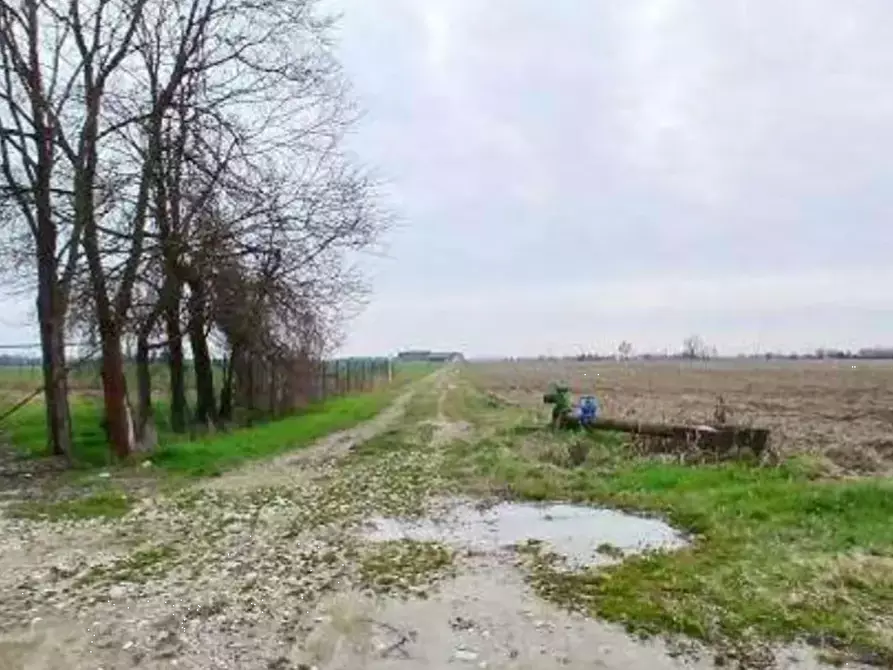 Immagine 1 di Terreno agricolo in vendita  in Localita' Ronchi a Povegliano Veronese