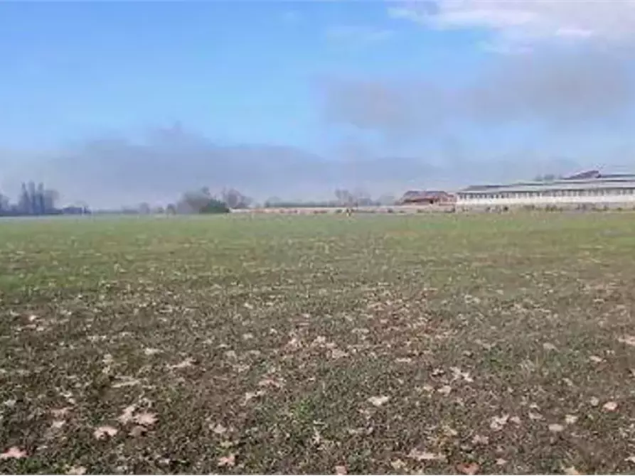 Immagine 2 di Terreno agricolo in vendita  in Localita' Ronchi a Povegliano Veronese