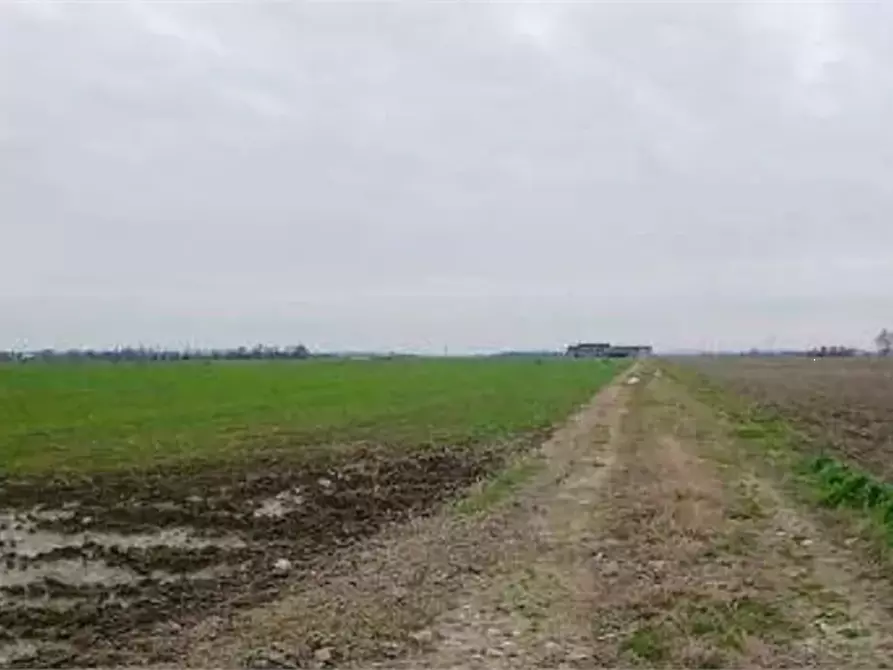 Immagine 3 di Terreno agricolo in vendita  in Localita' Ronchi a Povegliano Veronese
