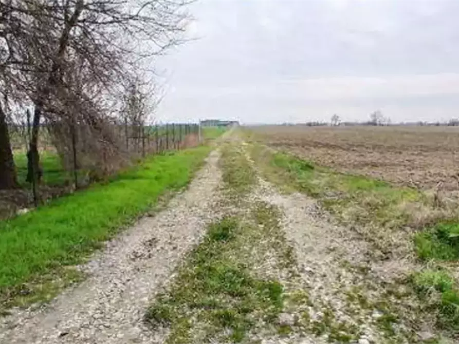 Immagine 4 di Terreno agricolo in vendita  in Localita' Ronchi a Povegliano Veronese