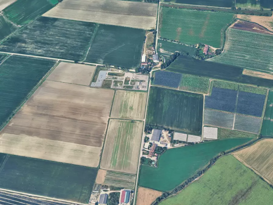 Immagine 8 di Terreno agricolo in vendita  in Localita' Ronchi a Povegliano Veronese