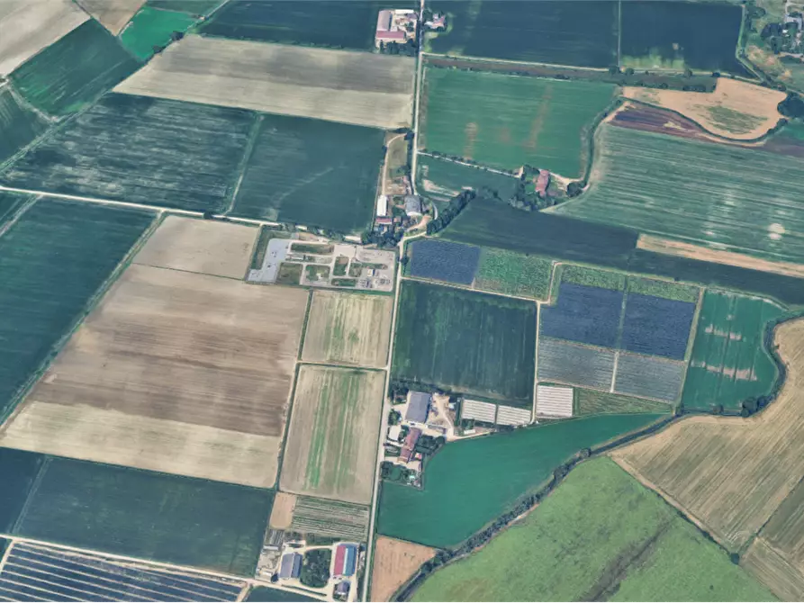 Immagine 9 di Terreno agricolo in vendita  in Localita' Ronchi a Povegliano Veronese
