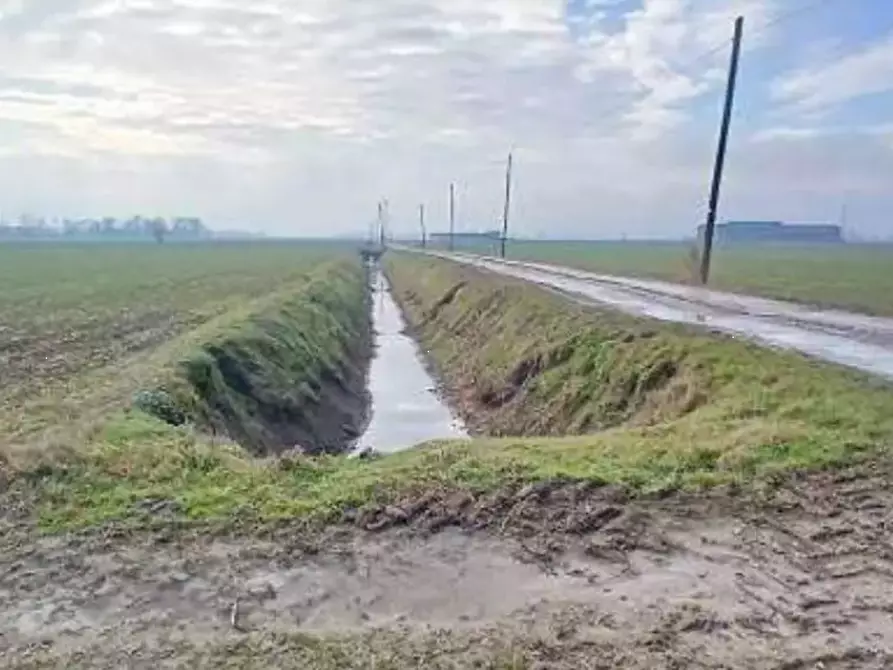 Immagine 1 di Terreno agricolo in vendita  in Localita' Ronchi a Povegliano Veronese