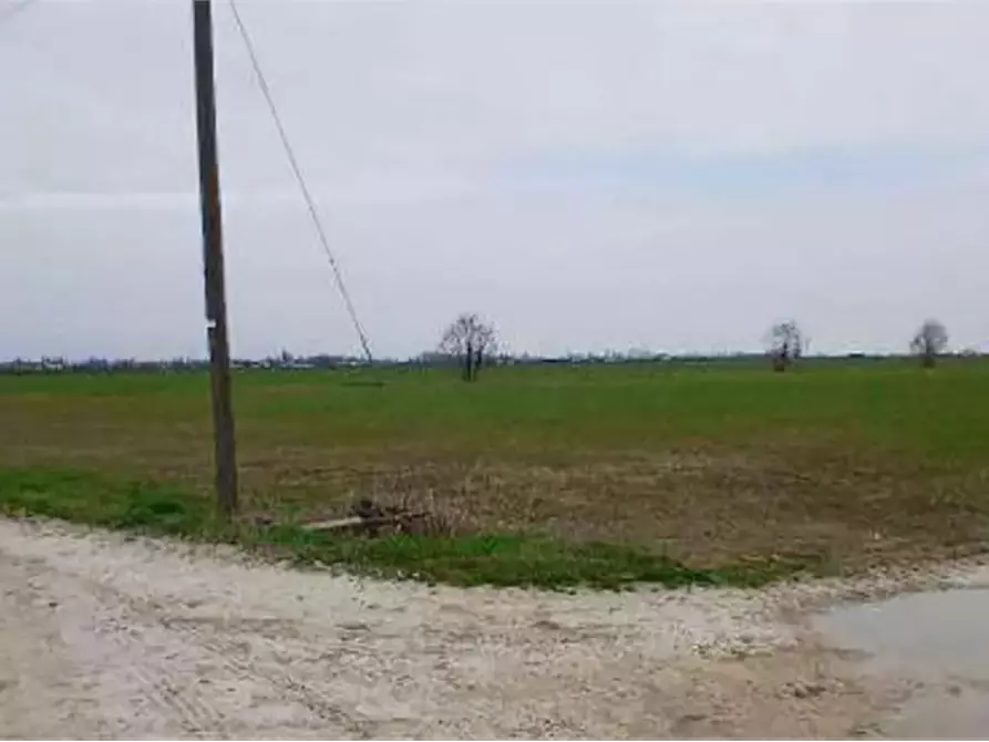 Immagine 4 di Terreno agricolo in vendita  in Localita' Ronchi a Povegliano Veronese