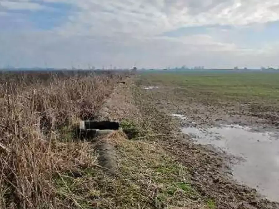 Immagine 2 di Terreno agricolo in vendita  in Localita' Ronchi a Povegliano Veronese