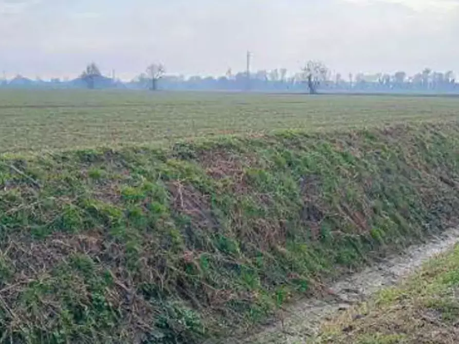Immagine 3 di Terreno agricolo in vendita  in Localita' Ronchi a Povegliano Veronese