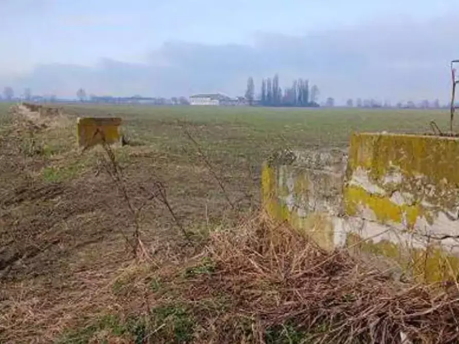 Immagine 1 di Terreno agricolo in vendita  in Localita' Ronchi a Povegliano