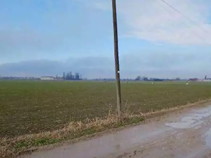 Immagine 2 di Terreno agricolo in vendita  in Localita' Ronchi a Povegliano