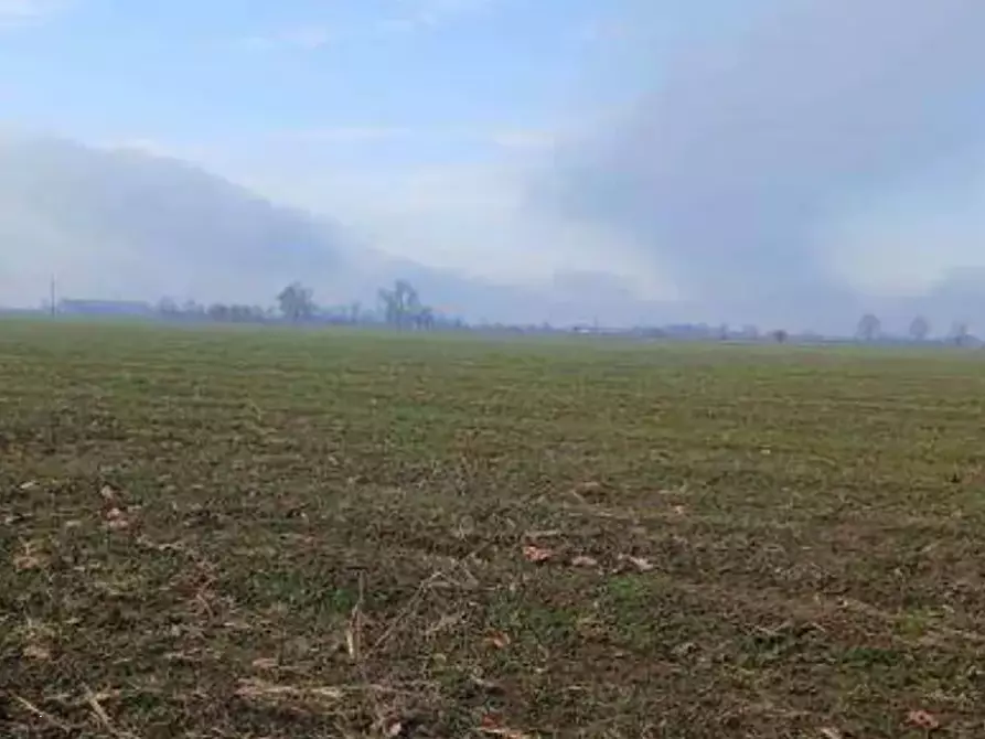 Immagine 3 di Terreno agricolo in vendita  in Localita' Ronchi a Povegliano