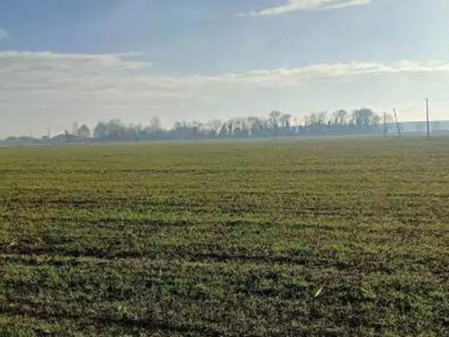 Immagine 1 di Terreno agricolo in vendita  in  Localita' Ronchi a Povegliano Veronese