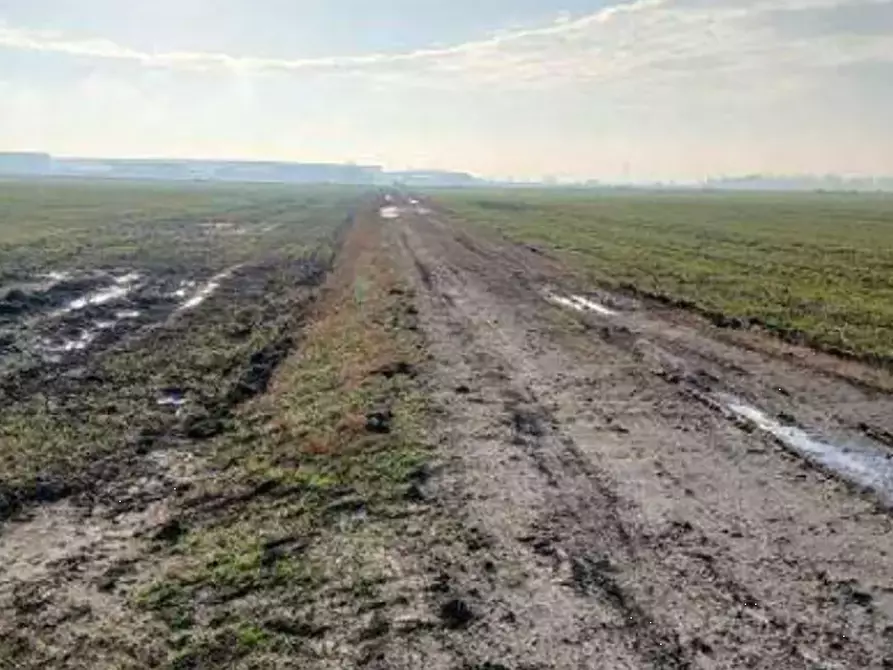 Immagine 2 di Terreno agricolo in vendita  in  Localita' Ronchi a Povegliano Veronese