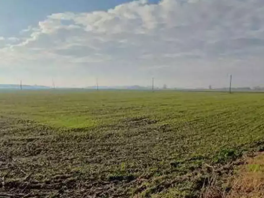 Immagine 3 di Terreno agricolo in vendita  in  Localita' Ronchi a Povegliano Veronese