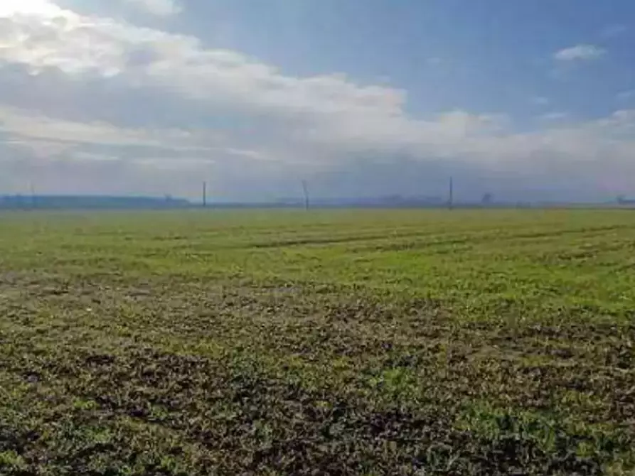 Immagine 4 di Terreno agricolo in vendita  in  Localita' Ronchi a Povegliano Veronese
