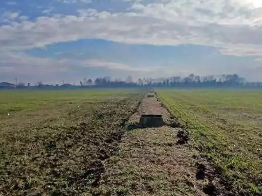 Immagine 5 di Terreno agricolo in vendita  in  Localita' Ronchi a Povegliano Veronese