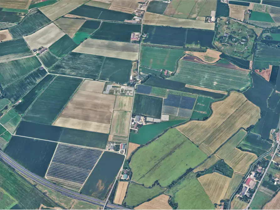 Immagine 11 di Terreno agricolo in vendita  in  Localita' Ronchi a Povegliano Veronese