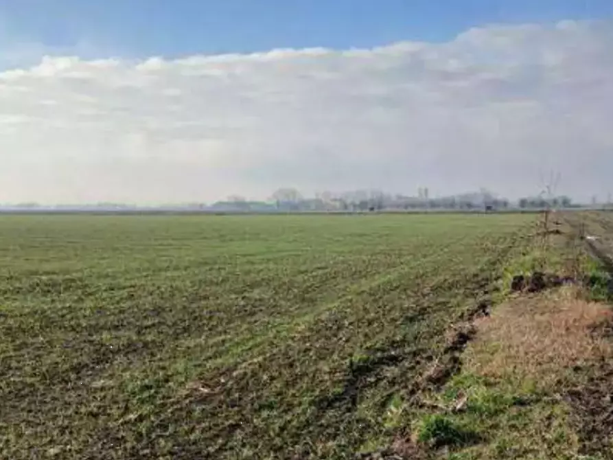 Immagine 1 di Terreno agricolo in vendita  in  Localita' Ronchi a Povegliano Veronese