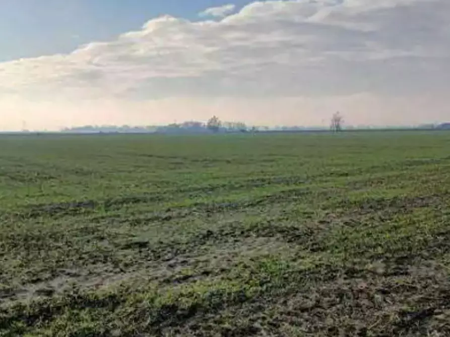 Immagine 2 di Terreno agricolo in vendita  in  Localita' Ronchi a Povegliano Veronese