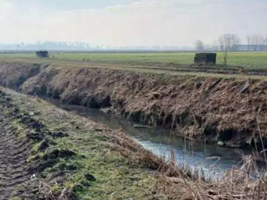 Immagine 3 di Terreno agricolo in vendita  in  Localita' Ronchi a Povegliano Veronese