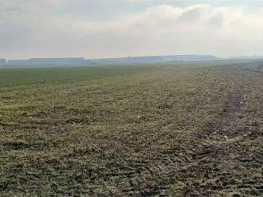 Immagine 4 di Terreno agricolo in vendita  in  Localita' Ronchi a Povegliano Veronese