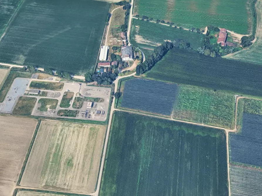 Immagine 7 di Terreno agricolo in vendita  in  Localita' Ronchi a Povegliano Veronese