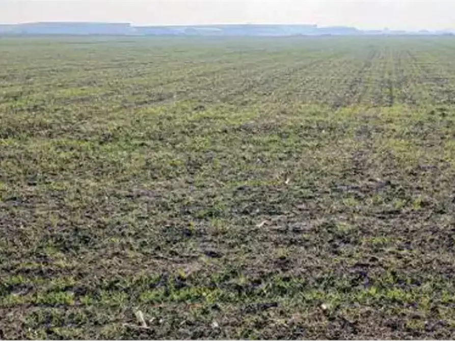 Immagine 1 di Terreno agricolo in vendita  in Località Ronchi a Povegliano Veronese