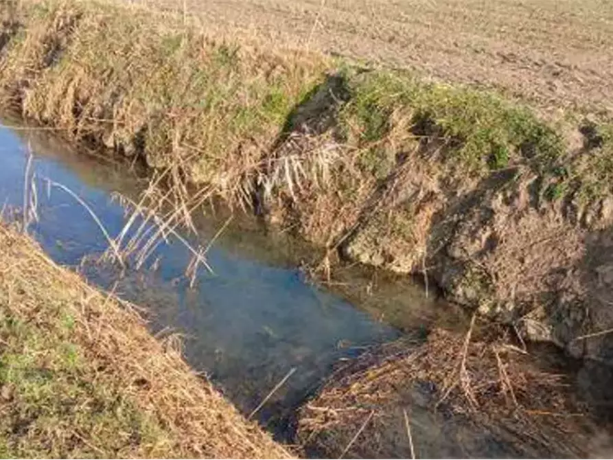 Immagine 2 di Terreno agricolo in vendita  in Località Ronchi a Povegliano Veronese