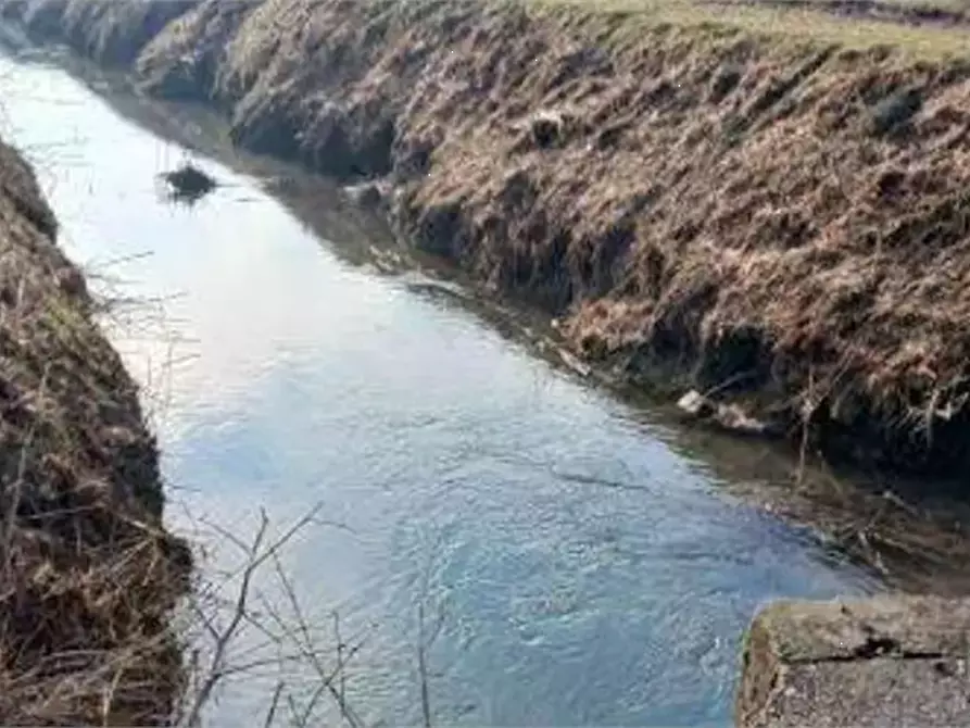 Immagine 3 di Terreno agricolo in vendita  in Località Ronchi a Povegliano Veronese