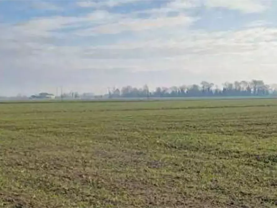 Immagine 5 di Terreno agricolo in vendita  in Località Ronchi a Povegliano Veronese