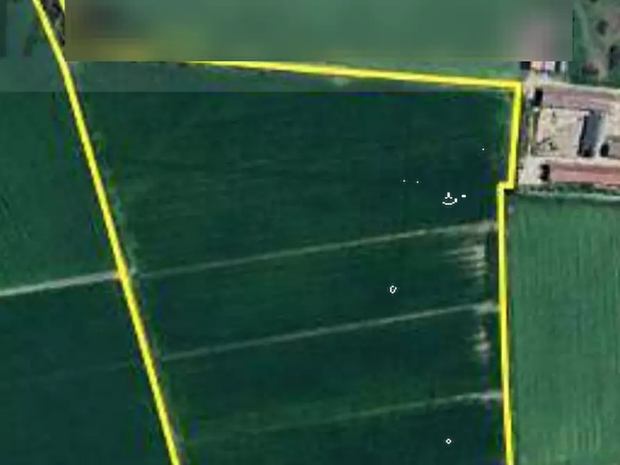 Immagine 8 di Terreno agricolo in vendita  in Località Ronchi a Povegliano Veronese