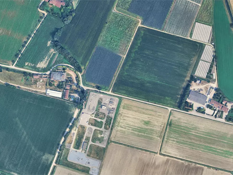 Immagine 9 di Terreno agricolo in vendita  in Località Ronchi a Povegliano Veronese