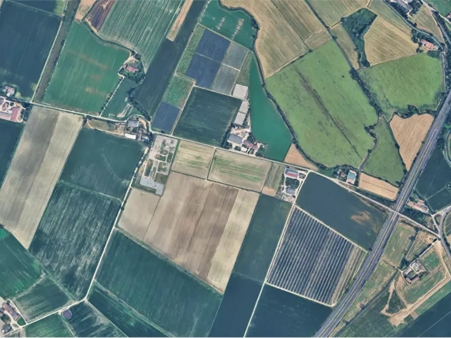 Immagine 10 di Terreno agricolo in vendita  in Località Ronchi a Povegliano Veronese