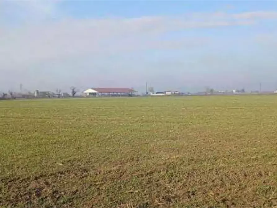 Immagine 1 di Terreno agricolo in vendita  in Località Ronchi a Povegliano Veronese