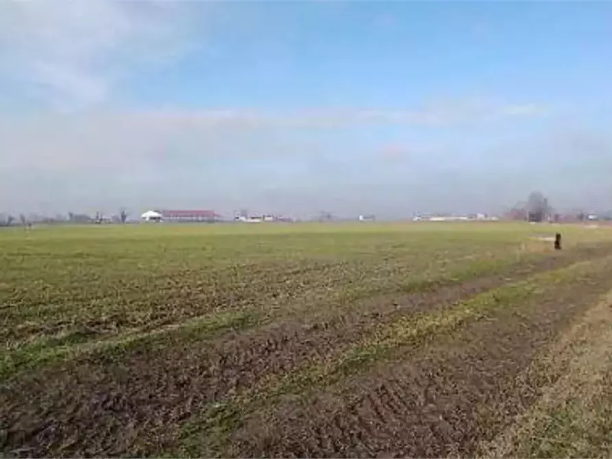Immagine 2 di Terreno agricolo in vendita  in Località Ronchi a Povegliano Veronese