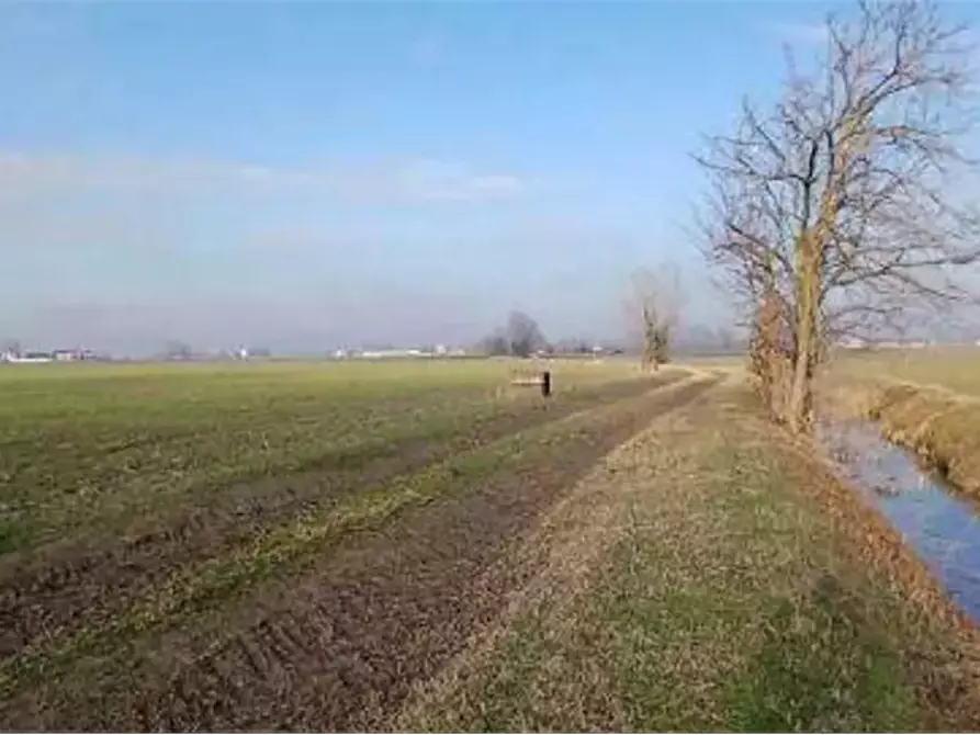 Immagine 3 di Terreno agricolo in vendita  in Località Ronchi a Povegliano Veronese