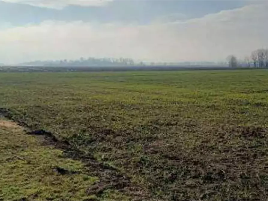 Immagine 4 di Terreno agricolo in vendita  in Località Ronchi a Povegliano Veronese