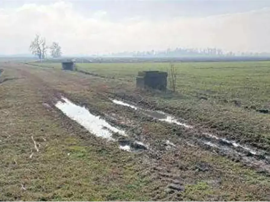 Immagine 6 di Terreno agricolo in vendita  in Località Ronchi a Povegliano Veronese
