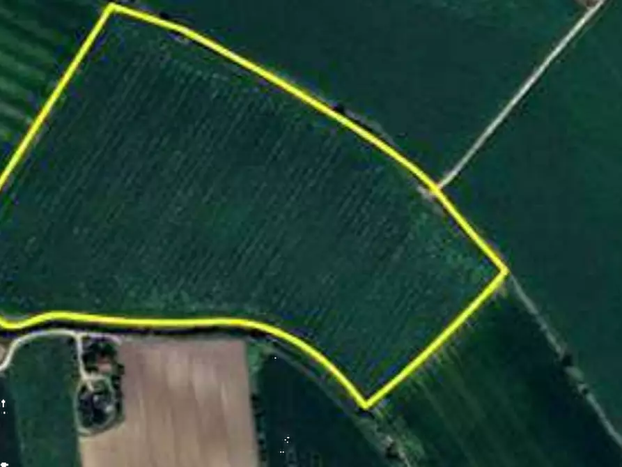 Immagine 9 di Terreno agricolo in vendita  in Località Ronchi a Povegliano Veronese