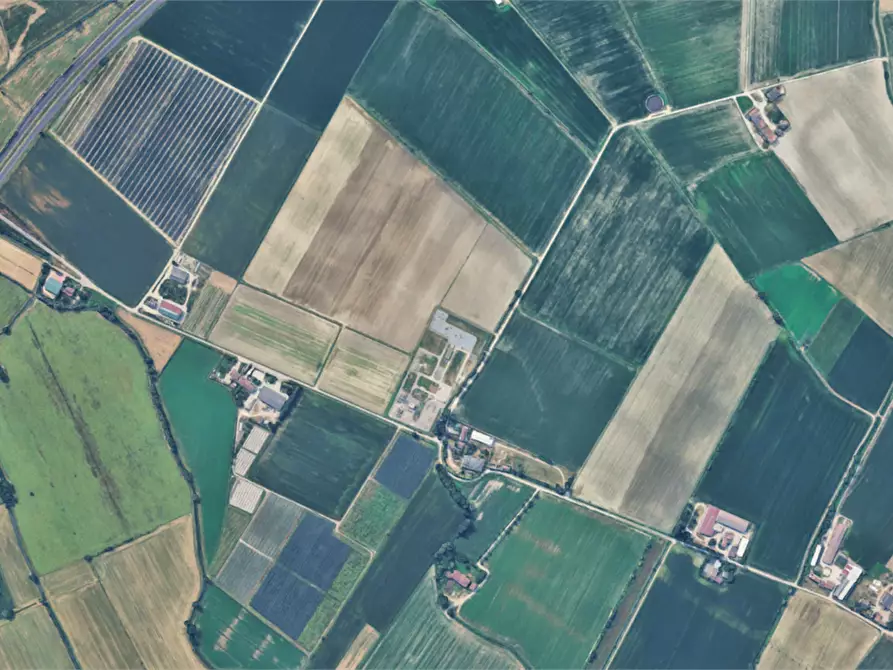 Immagine 10 di Terreno agricolo in vendita  in Località Ronchi a Povegliano Veronese