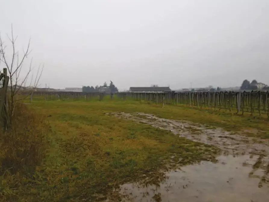Immagine 1 di Terreno agricolo in vendita  in via Pigno a Pescantina