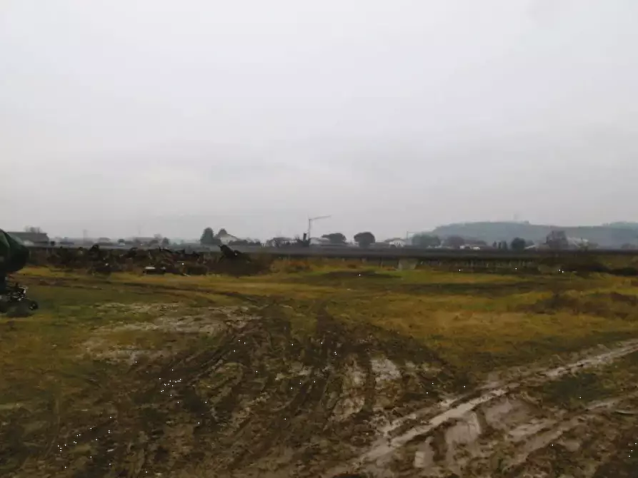 Immagine 4 di Terreno agricolo in vendita  in via Pigno a Pescantina
