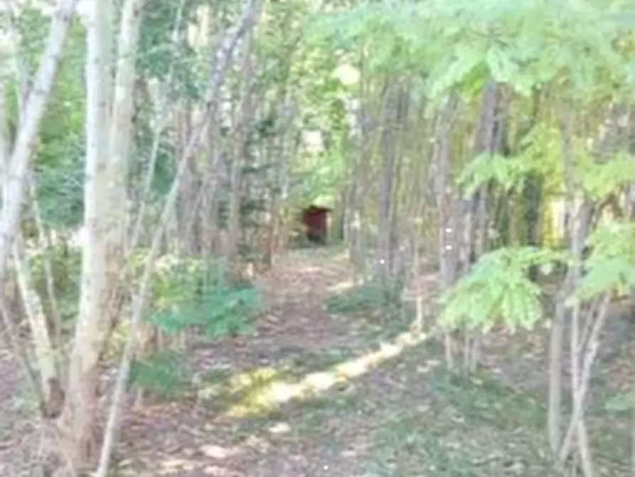 Immagine 1 di Garage in vendita  in Via Nazario Sauro a Fiume Veneto